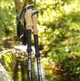 איך בוחרים מקלות הליכה – המדריך המלא